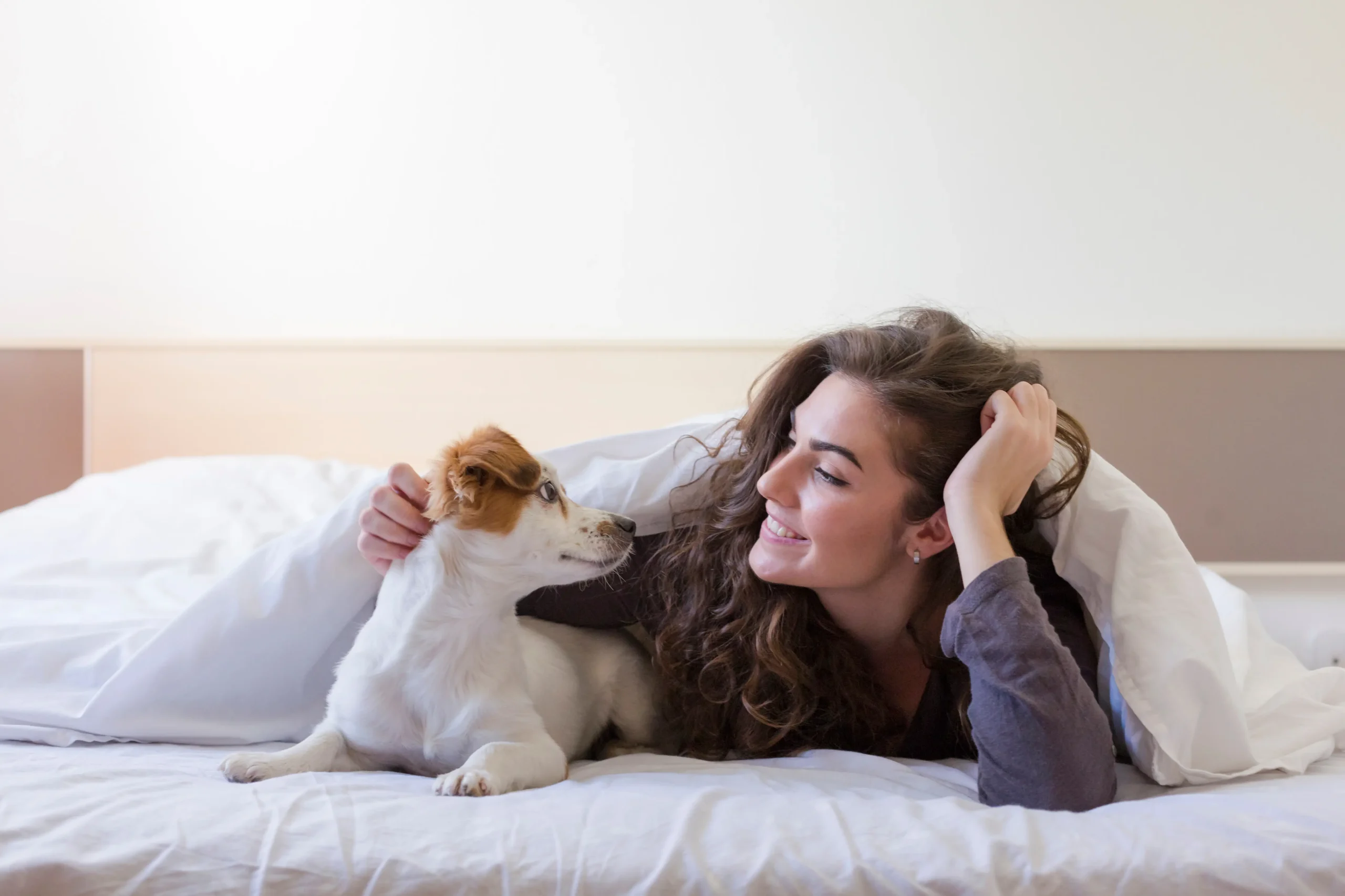 Animali Ammessi Uvet Hotels