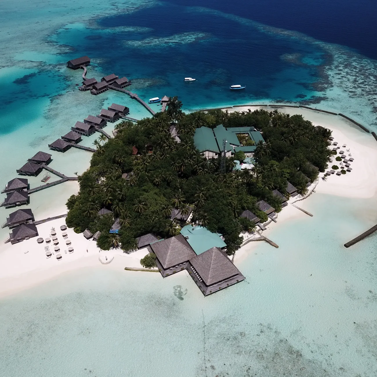 Maldive (3)